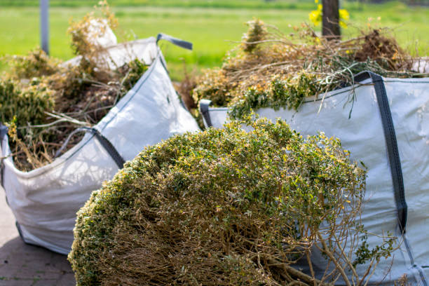 Best Residential Junk Removal  in Mitchell, IL